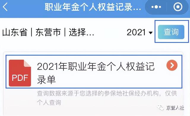 职业年金个人账户查询，职业年金个人权益记录单