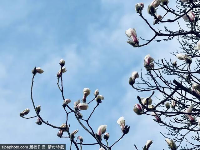 北京带孩子玩的地方推荐，北京小宝宝周末遛娃必备好去处（带娃去京郊这4个天然氧吧游山戏水~）