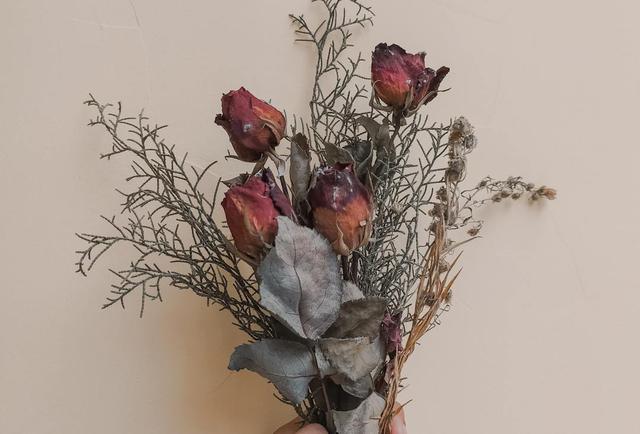 情人节的起源地罗马竟然这么浪漫，2022.5.14世界上还有一个玫瑰情人节