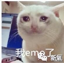 精灵美少女图鉴，被称为超能少女的宝可梦——奇鲁莉安