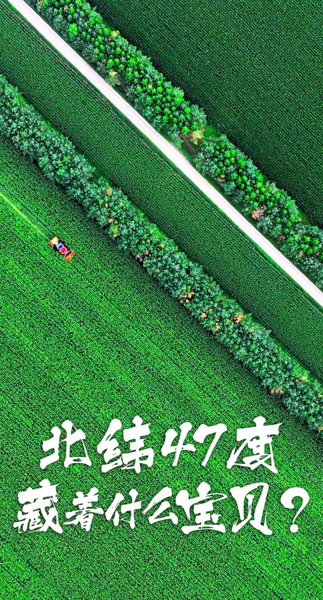 北纬47度是哪，原来你是这样的北纬47