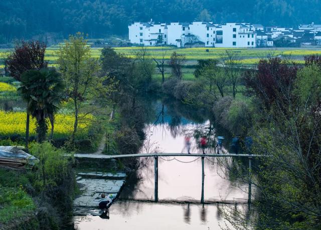 江西婺源油菜花，婺源看油菜花最佳地点