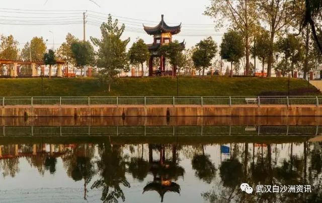 武汉白沙洲人工河，天气下雨鱼情好。坐标武汉市洪山区白沙洲青菱河