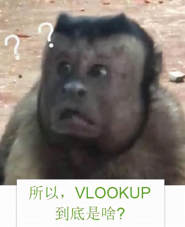 excel编程入门教程，20个常用Excel函数基础教程