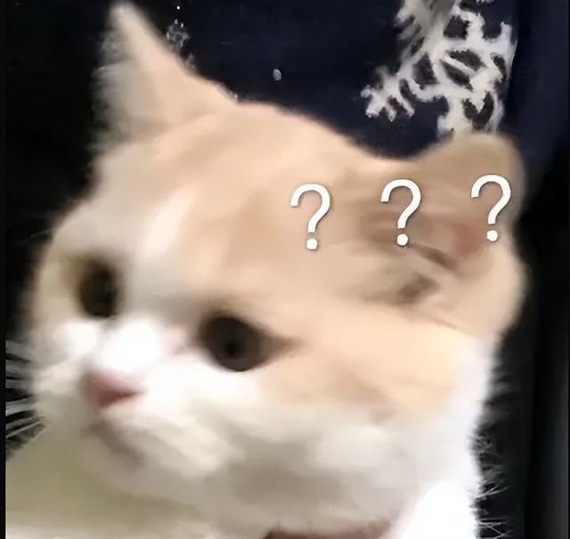 坚持每天10道数学计算题，小学就做过的数学题