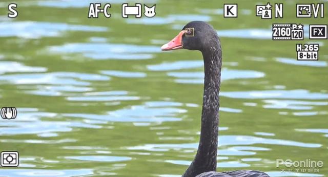 尼康微单相机推荐z9，入手旗舰全画幅相机