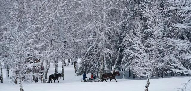 春天去哪里旅游，最适合春天去的7大旅游景点