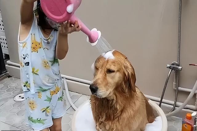 关于泰国的五个基本常识，在泰国让外国人觉得奇怪的10件事