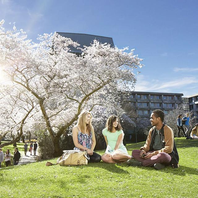 新西兰八大名校学费，2022年新西兰8所国立大学学费汇总（新西兰留学八大名校你都知道吗）