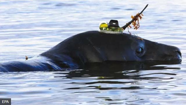 南大洋跻身世界五大洋，四大洋从大到小排名