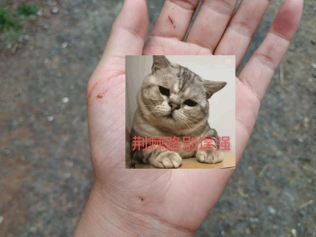 杭州爬山徒步最佳路线轨迹，杭州人的后花园