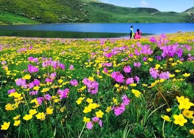 四川8月避暑旅游最佳去处，四川有一个清凉世界走红