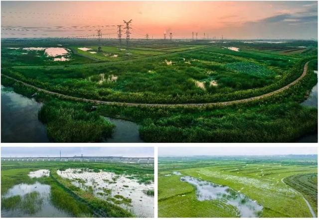 第21届安徽省摄影艺术展入选证书，“安徽·镜像——安徽省摄影作品展”在杭启幕