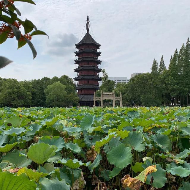 湖州的冬天好冷，湖州入冬后最冷时段来了