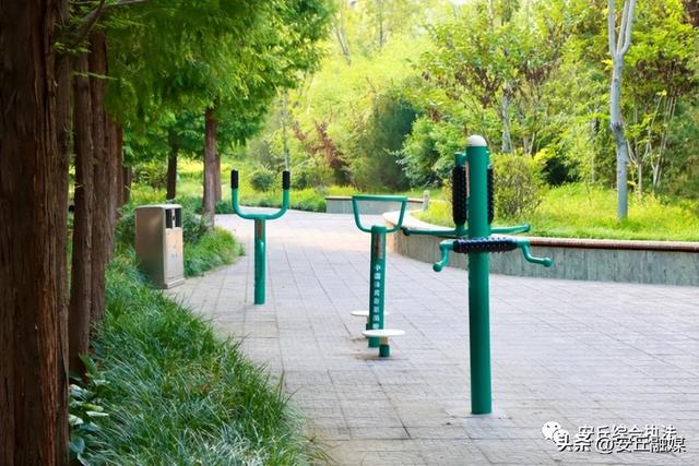 户外广场景观组合健身器材，常用户外健身器材多图展示