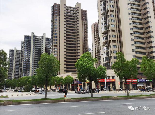 燕子矶新城最新楼盘，燕子矶今年有地拍吗（这个区域热度不减）