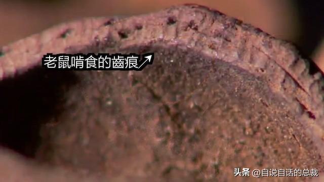 走近科学复活节岛巨人石像之谜，美国科学家有了新解释