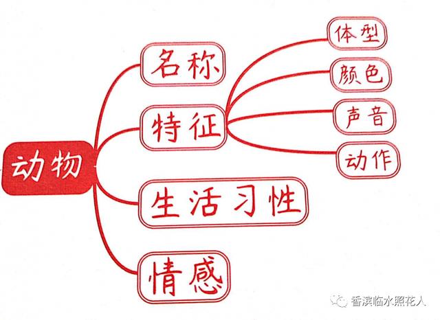 我长大了作文思维导图怎么画，思维导图画作文