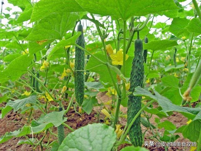 农家菜谱大全图片，好看的农家菜菜谱大全