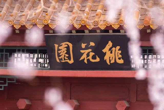 一年一度的桃花节开幕了，情系桃源美丽汉旺——绵竹市汉旺镇第二届桃花节开幕