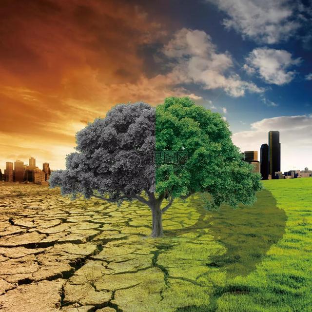 关于环保的垃圾分类，垃圾分类小知识你知多少