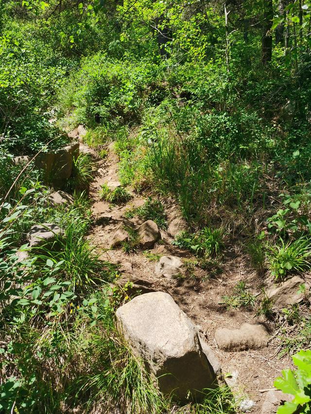 大王叫我来巡山舞蹈，大王叫我来巡山