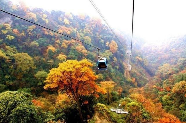 重庆一日游最佳路线图，重庆自驾一日游景点推荐