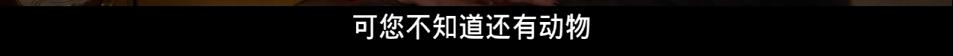 女明星的黑历史，女演员黑历史事件（和刘德华的意难平及刘銮雄的“黑历史”）