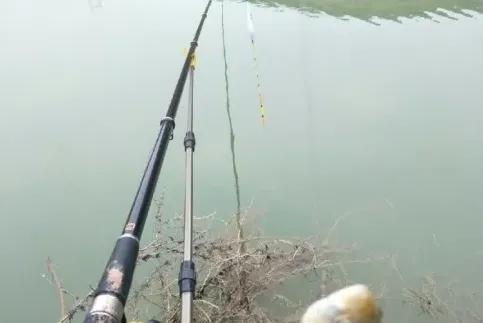 钓鲤鱼的方法和注意事项，守钓鲤鱼是最“笨”的办法