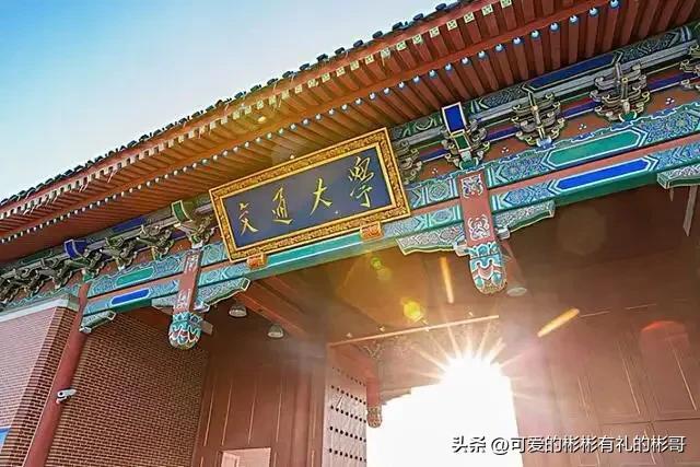 上海交大农学院，上海交通大学的工科学科排名