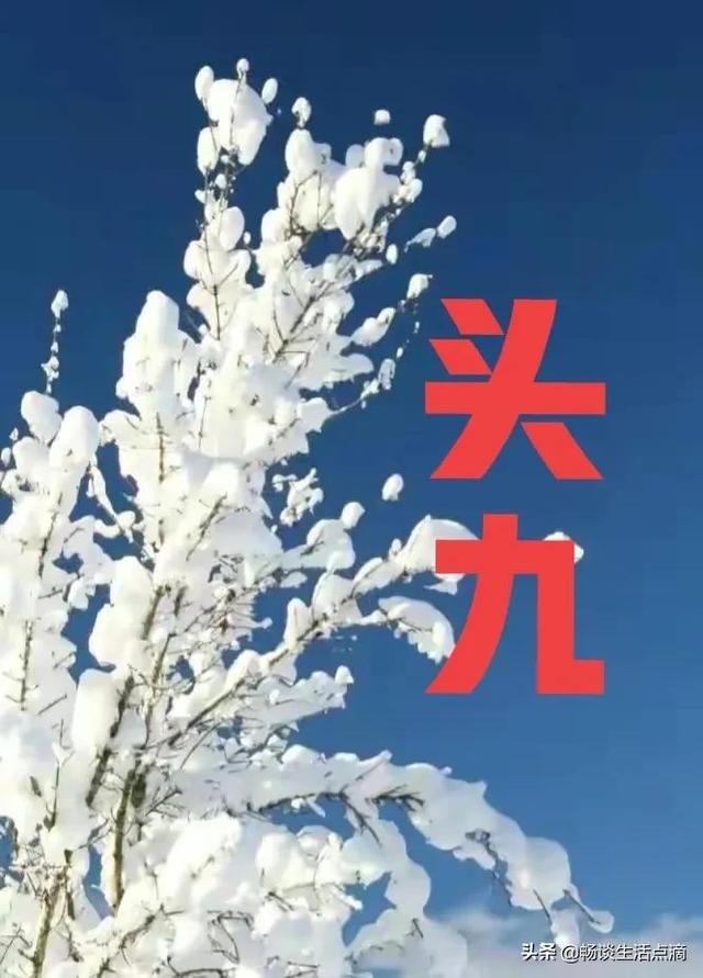 一九有雪的谚语，数九寒天～三九到了吗