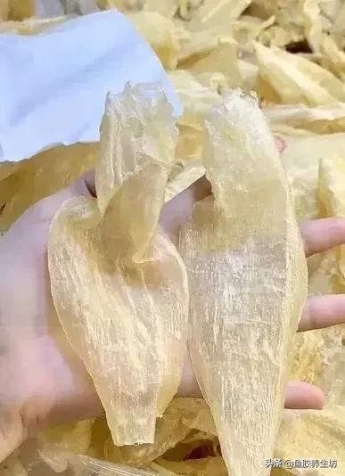 人工合成鱼胶图片，合成鱼胶怎么分辨