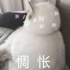 肉松肥胖(肉松的胖子怎么减肥)