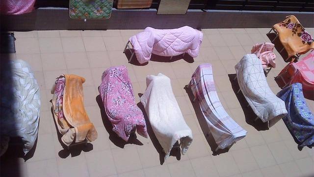 家纺爆款大豆被，火遍家纺圈的大豆被凭什么更适合南方