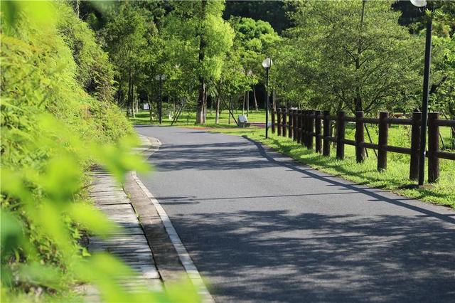 广州绿道田园景点，博罗这些高颜值绿道等你来打卡