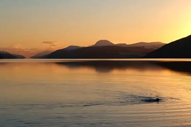 尼斯湖水怪真实事件，为拍尼斯湖水怪