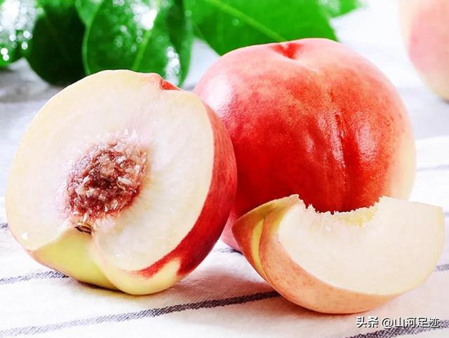 伏见桃山起源，来自日本天皇陵墓的奶茶