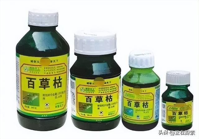 百草枯幸存者自述，服毒自尽的人有多痛苦（西瓜视频带你了解真实感受）