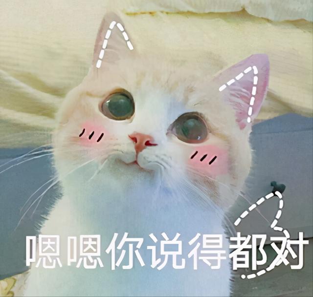 养猫的好处和坏处，养猫的好处和坏处有哪些