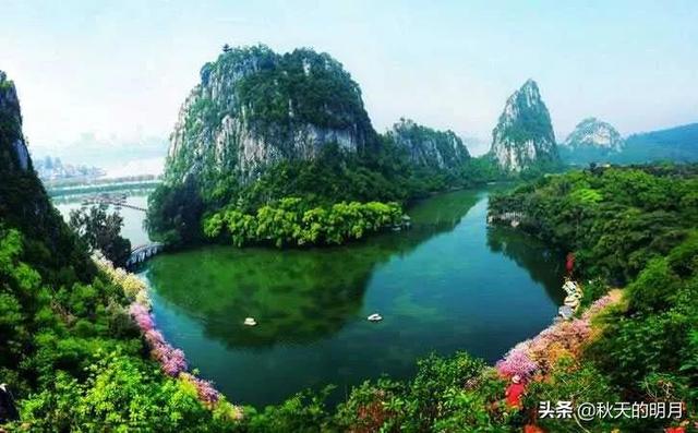 11个社会现象深度解析，的人看到真实的社会现象