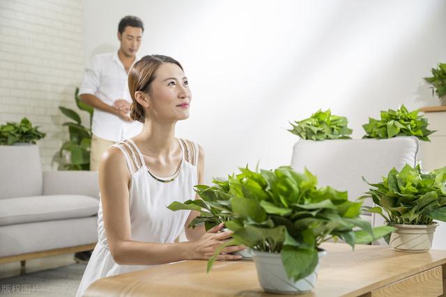 新消费行业有哪些，万亿市场的行业有哪些（任泽平：新消费新国潮崛起）