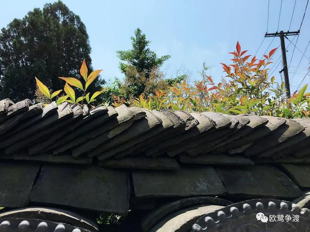 泾县桃花潭周边景点介绍，桃花潭水深千尺