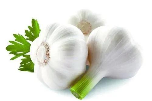 健身人员必备的增肌食物，健身10大增肌食物