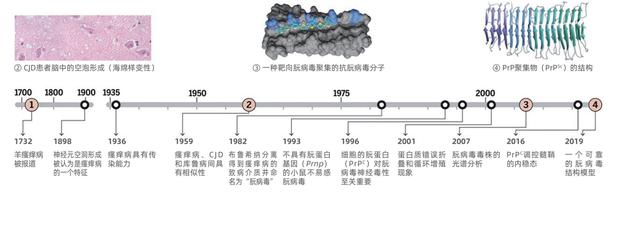 致死率达100烹煮都杀不死的朊病毒，朊病毒到底是什么病毒