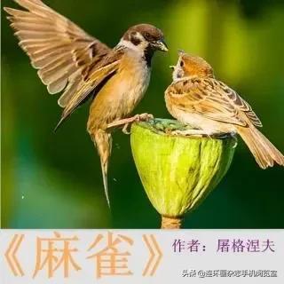 屠格涅夫的作品，俄国作家屠格涅夫的代表作品（屠格涅夫的前世今生）