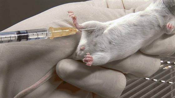 古代人古交吗，古代人啪啪啪后怎么知道中没中