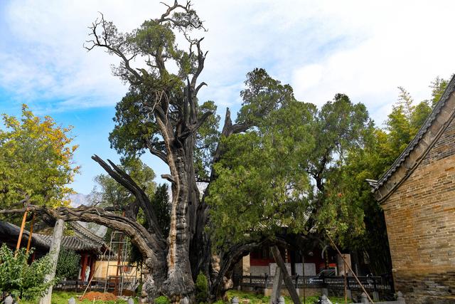十省通衢分别是哪些城市，国内被称为九省通衢