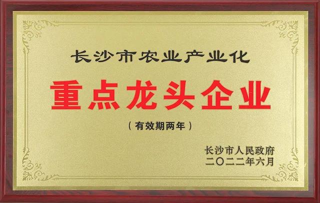 绿之韵全部产品价格表，绿之韵2022年终盘点