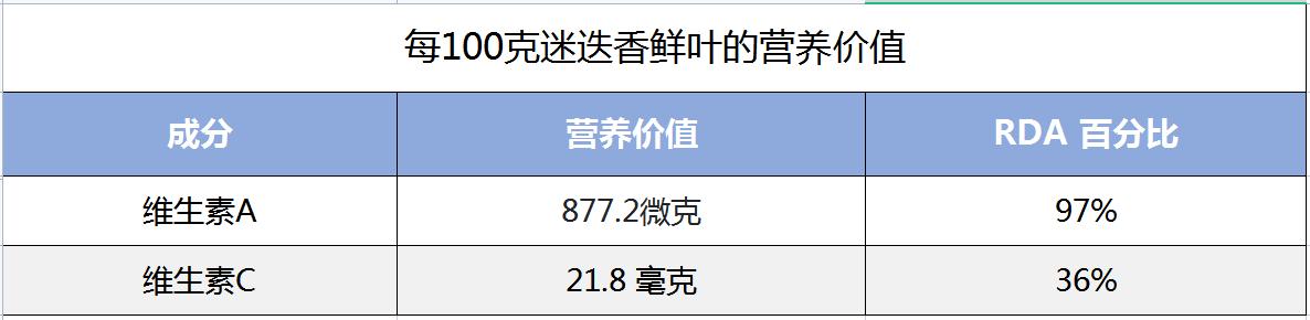 既是世界著名香料，迷迭香到底是什么