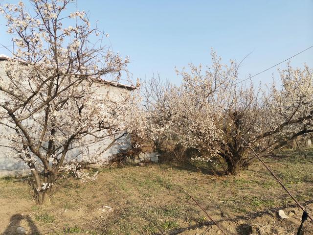 四月份是什么季节，四月份的时候是什么季节了